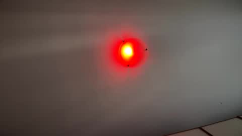 Witebull online show from 09/17/25, 06:59