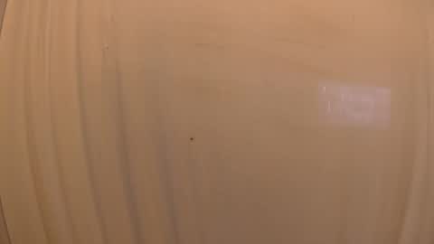 Mater online show from 10/19/25, 03:34