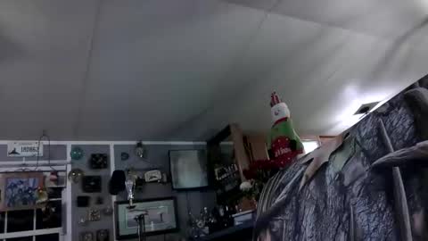 wldlife online show from 11/25/25, 02:44