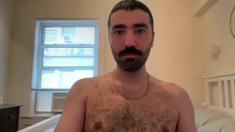 wolcott2026 online show from 06/14/26, 12:41