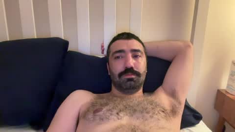 wolcott2026 online show from 07/19/26, 03:43