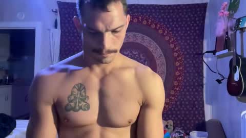 Wolfblazer online show from 02/07/25, 10:29