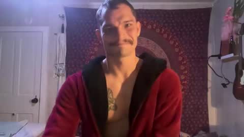 Wolfblazer online show from 02/12/25, 10:14