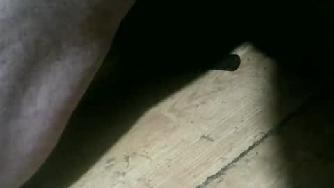 Snapshot of wolfbo6699 chatting on 11/22/25, 05:06 wolfbo6699 online show from 11/22/25, 05:06