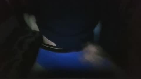 wolfie online show from 05/20/26, 02:18