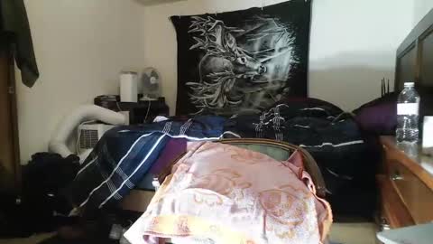 wolfman79 online show from 02/12/25, 11:07