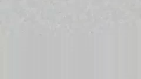 wolfsand online show from 06/16/26, 06:54