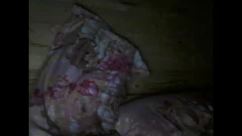 Vili online show from 04/15/26, 06:37