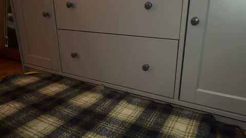 Sage online show from 12/21/25, 04:25