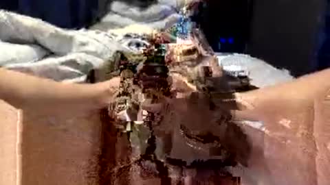 workplace_proximity_associate online show from 09/28/25, 12:10