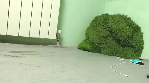 wow_devil online show from 12/27/24, 06:57