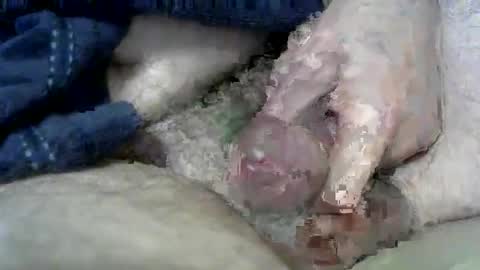 Snapshot of wxherts chatting on 03/11/25, 06:53 Charles online show from 03/11/25, 06:53