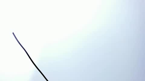 wyatt online show from 12/20/25, 03:13