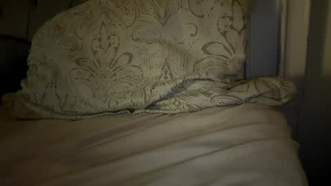 Snapshot of x_dreamgirl_x chatting on 11/29/25, 04:59 Mariah online show from 11/29/25, 04:59