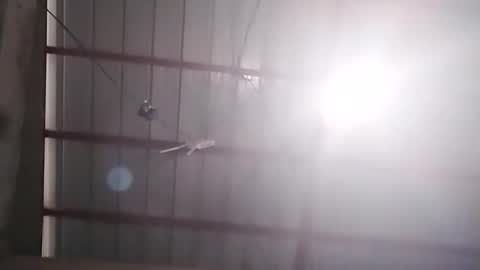 Bella Amor online show from 02/24/26, 07:17