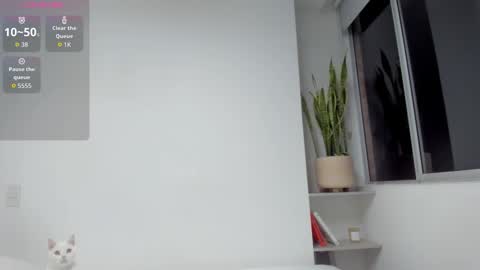 Xavier online show from 03/19/26, 10:08