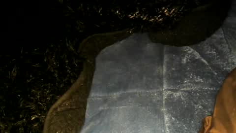 Toke online show from 01/22/25, 09:57