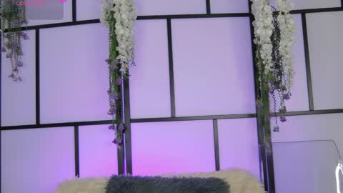 xenomy online show from 02/25/26, 08:02