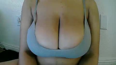 XiaoXiao  online show from 01/13/26, 12:05