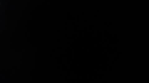 ximlopexx online show from 10/02/25, 10:17