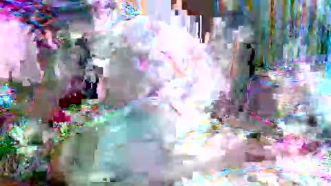 xixo6969 online show from 02/20/26, 05:15