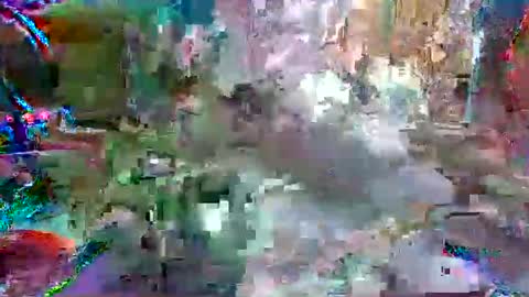 xixo6969 online show from 04/12/26, 10:37