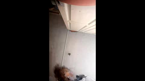 xlwi77 online show from 05/31/26, 10:22
