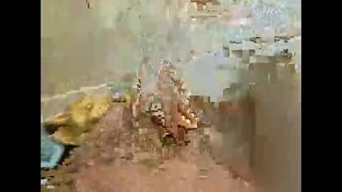 Snapshot of xmark99 chatting on 11/27/25, 04:53 Jj880 online show from 11/27/25, 04:53