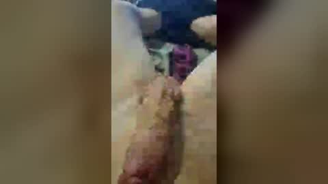 xopenthatass online show from 07/13/26, 10:12