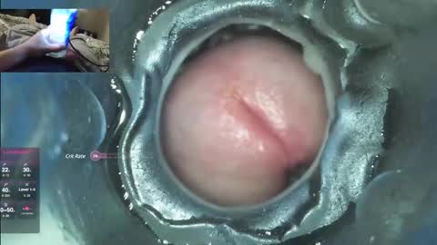 xoxowtf online show from 12/07/24, 04:53