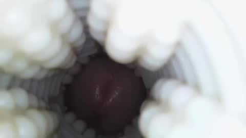 xoxowtf online show from 01/09/26, 04:26