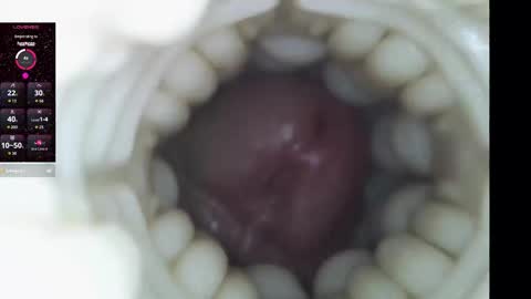 xoxowtf online show from 02/09/26, 11:20