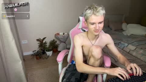 Snapshot of xxevilfox chatting on 12/02/24, 05:37 Fox online show from 12/02/24, 05:37