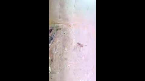 xxjessiebugxx online show from 05/13/26, 03:26