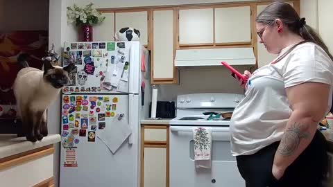 Strawberry Jane online show from 12/14/24, 05:07