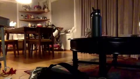 yayalala online show from 12/02/24, 03:37