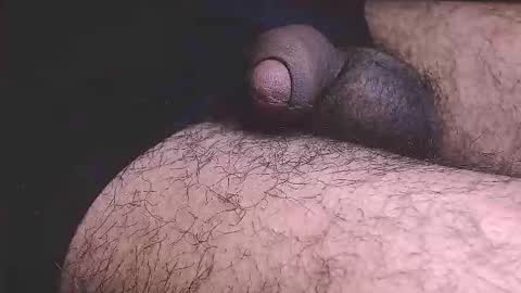 Prince online show from 02/19/26, 07:04