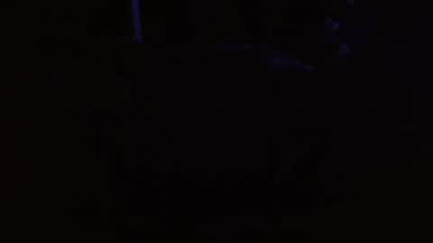 xxxjrstrokesxxx online show from 03/11/26, 08:42