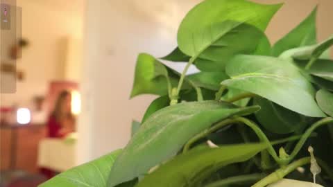 Xxxoka online show from 03/06/25, 02:08