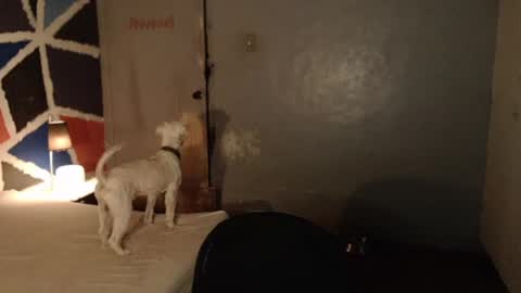 Melissa online show from 02/04/25, 11:49