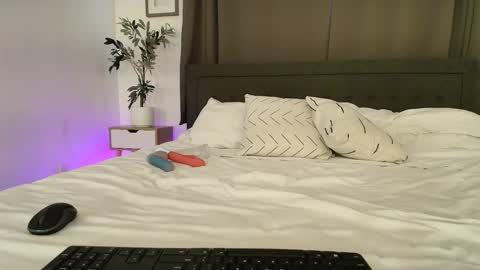 Snapshot of xxxvibesxo chatting on 01/12/25, 06:27 Lil Luna online show from 01/12/25, 06:27