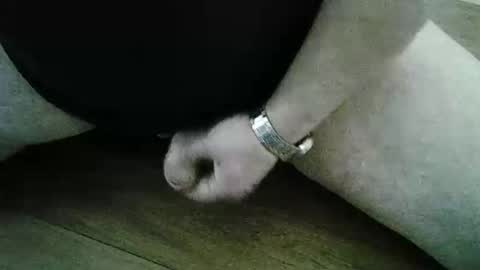 xyjjmop online show from 03/02/26, 06:47