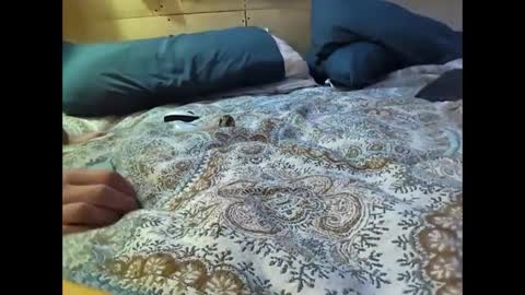 Xzbib online show from 03/10/25, 12:29