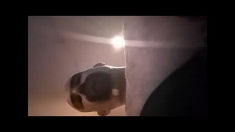 Xzbib online show from 04/04/26, 04:48