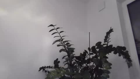 Snapshot of yakijoe chatting on 10/22/25, 10:09 yakijoe online show from 10/22/25, 10:09