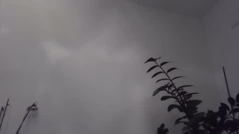 Snapshot of yakijoe chatting on 11/06/25, 10:43 yakijoe online show from 11/06/25, 10:43