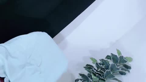 yams_kitty69 online show from 11/20/25, 08:08