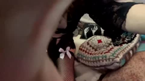 yanyanpixie online show from 12/19/25, 04:03