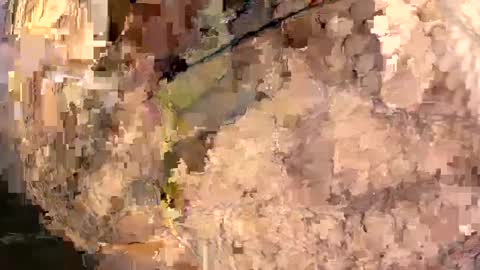 yasminfol online show from 03/01/25, 02:26