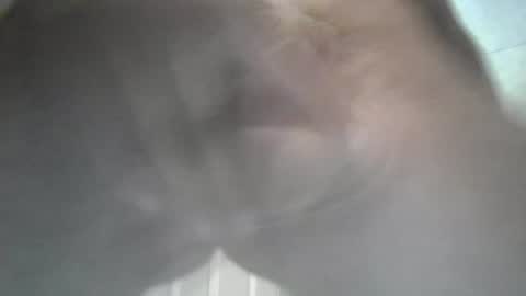 yaycarr9 online show from 06/12/26, 10:52
